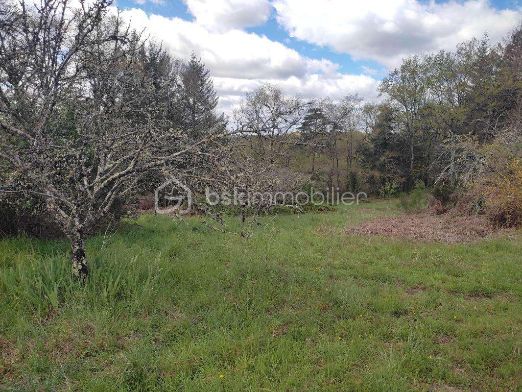 Terrain constructible 4200m² - chalet + mare - photo 4