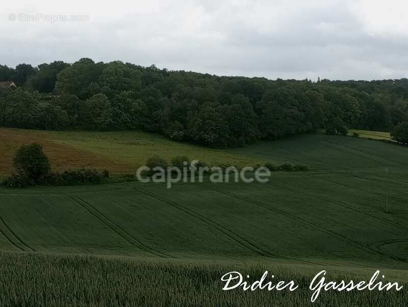 Terrain à vendre  BRUNELLES (28) - photo 6