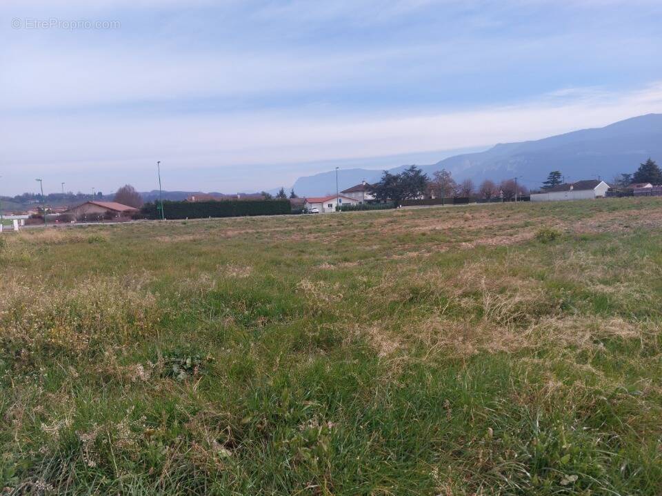 Terrain à SAINT-SAUVEUR