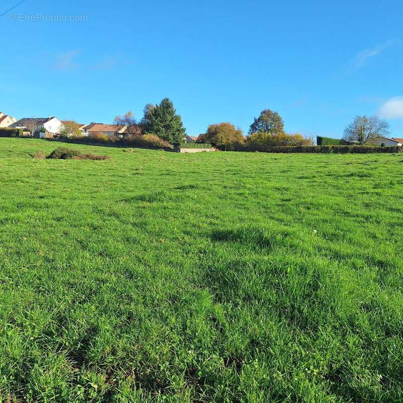 Photo 2 - Terrain à LE CREUSOT