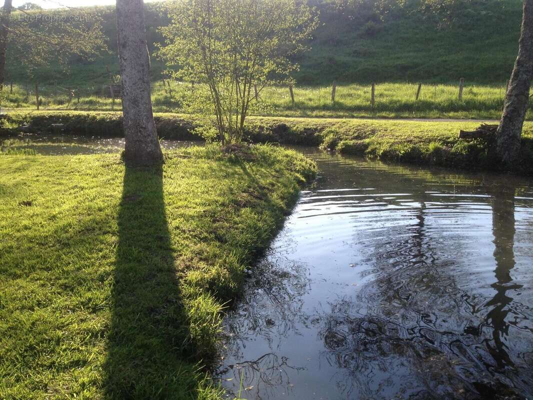 Photo 2 - Terrain à CITERS