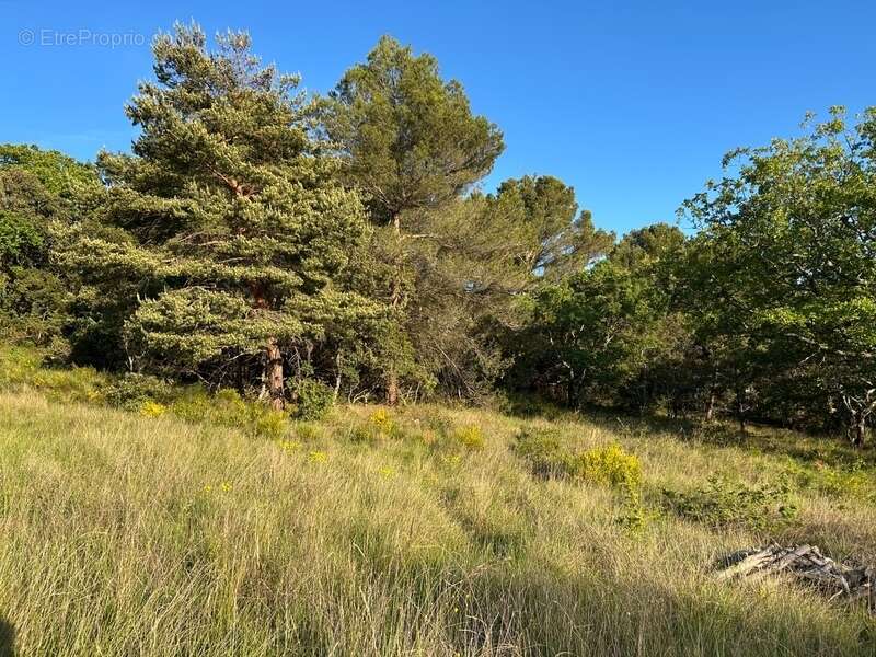 Terrain à BAUDINARD-SUR-VERDON