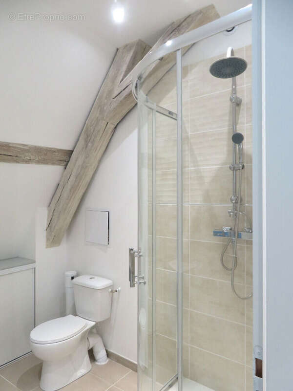Appartement Dijon T2/3 pièces en duplex - 57 m2 au sol - photo 5