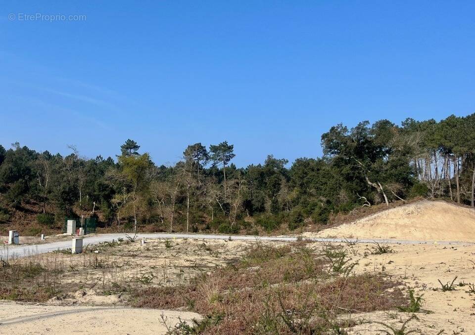 Terrain à LABENNE
