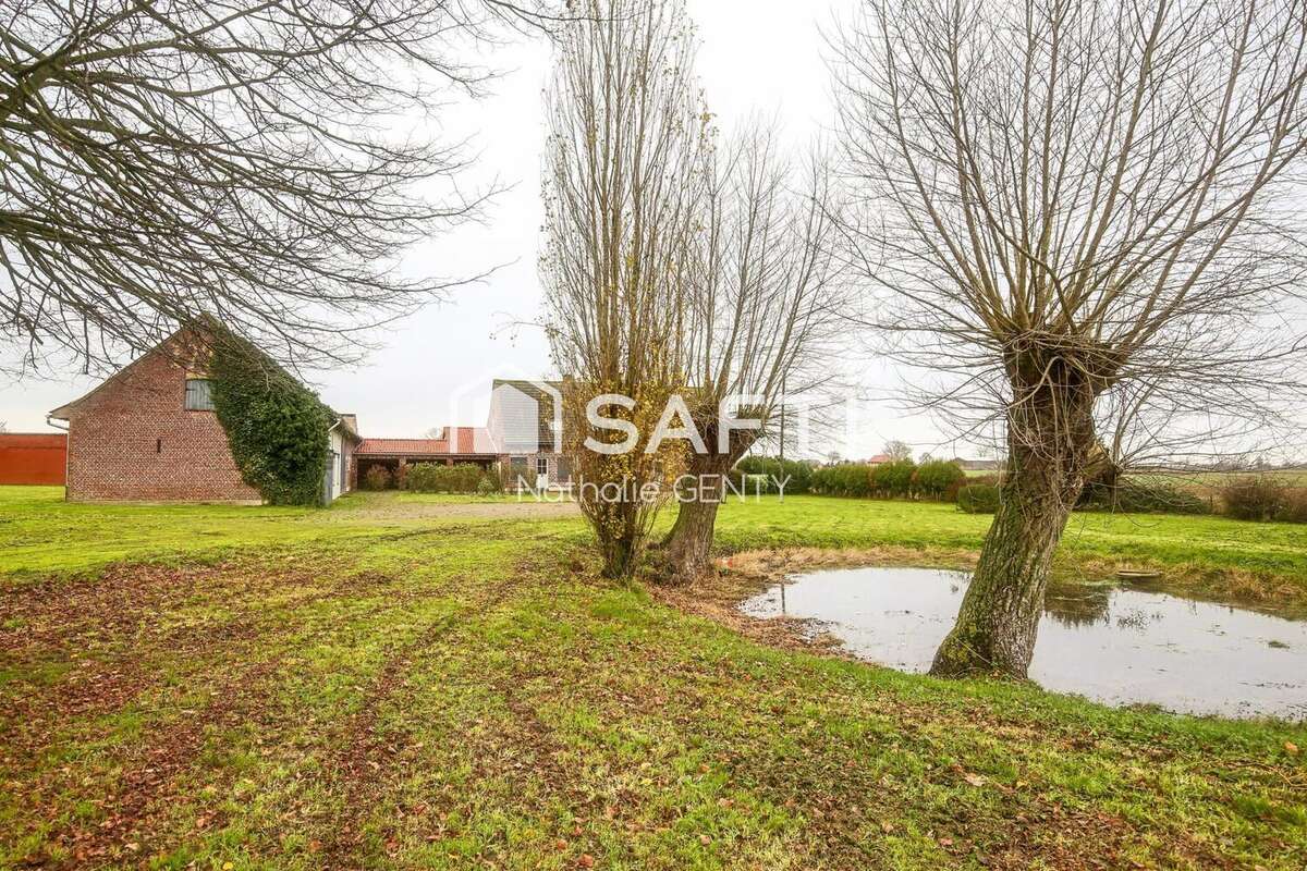 Photo 3 - Maison à STEENVOORDE