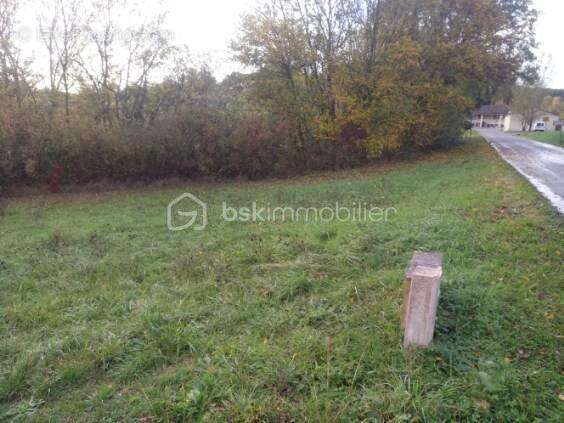 Terrain à SAINT-CYPRIEN