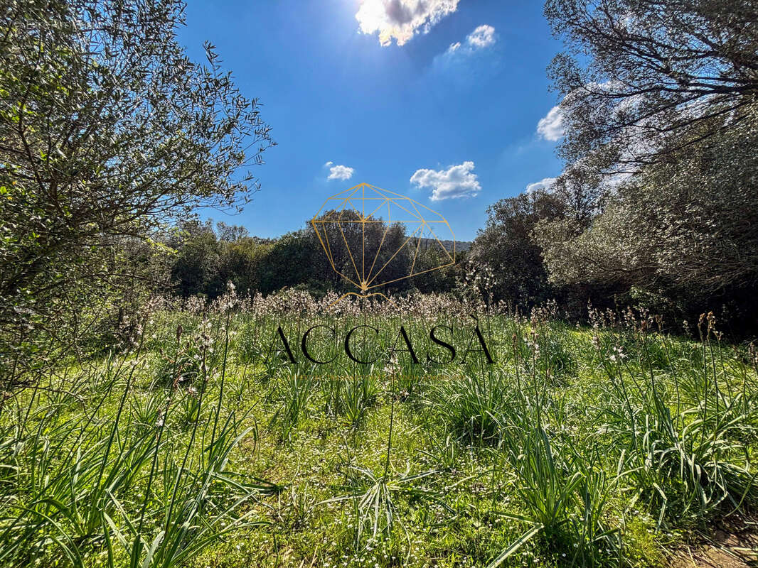 Terrain à FIGARI