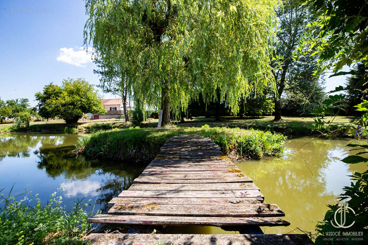 Saint Ouen Les Parey / Vosges : Ancien Moulin rénové 328m², Étang, 2.6 Hectares, DPE A - photo 6