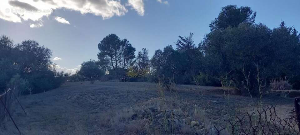 Terrain à MOUSSAN