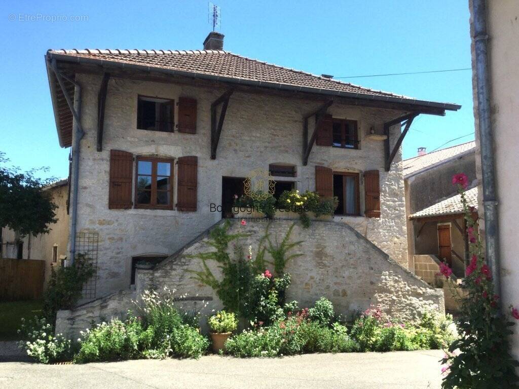 Maison à TOURNUS