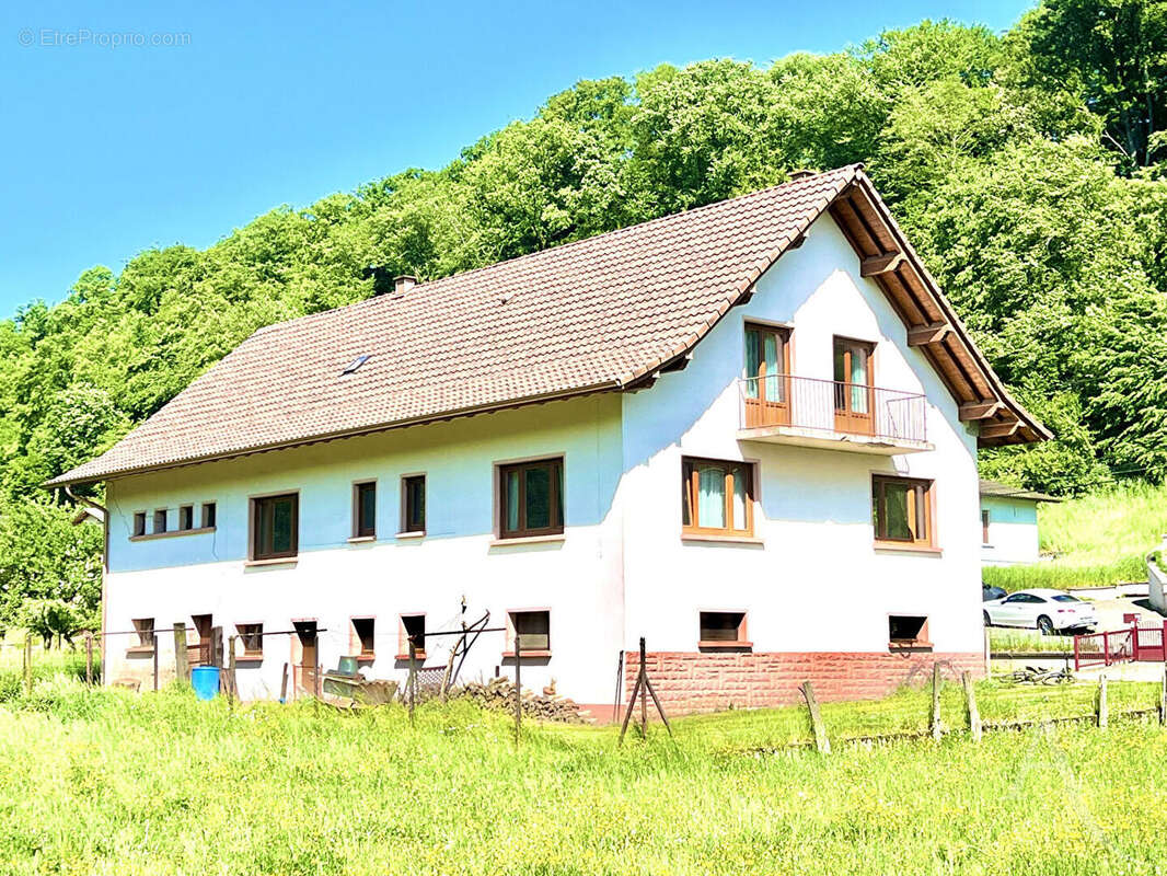 Maison à DALEM