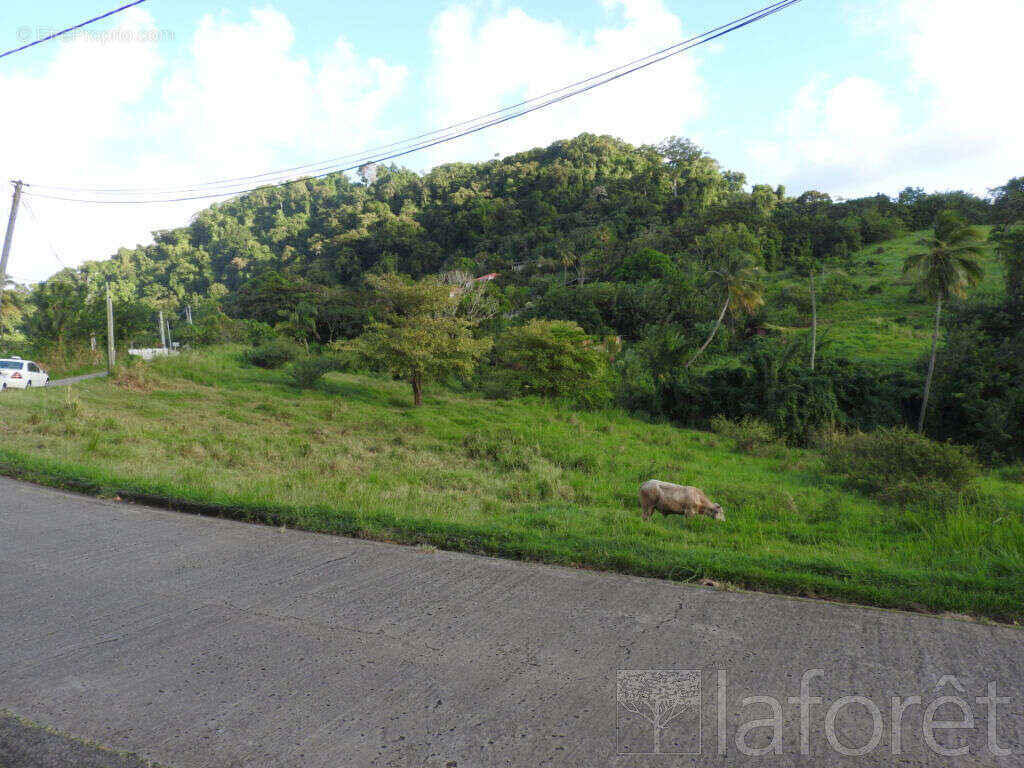 Terrain à LE FRANCOIS