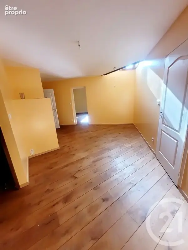Maison 7 pièces 213 m² à vendre à La Chapelle-Naude (71500) - photo 14