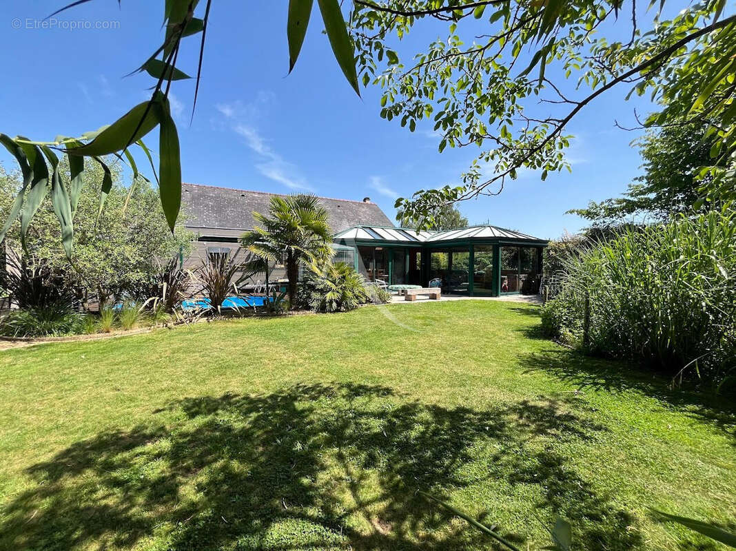 Maison à CHALONNES-SUR-LOIRE