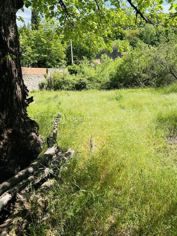 Terrain à BEDARIEUX