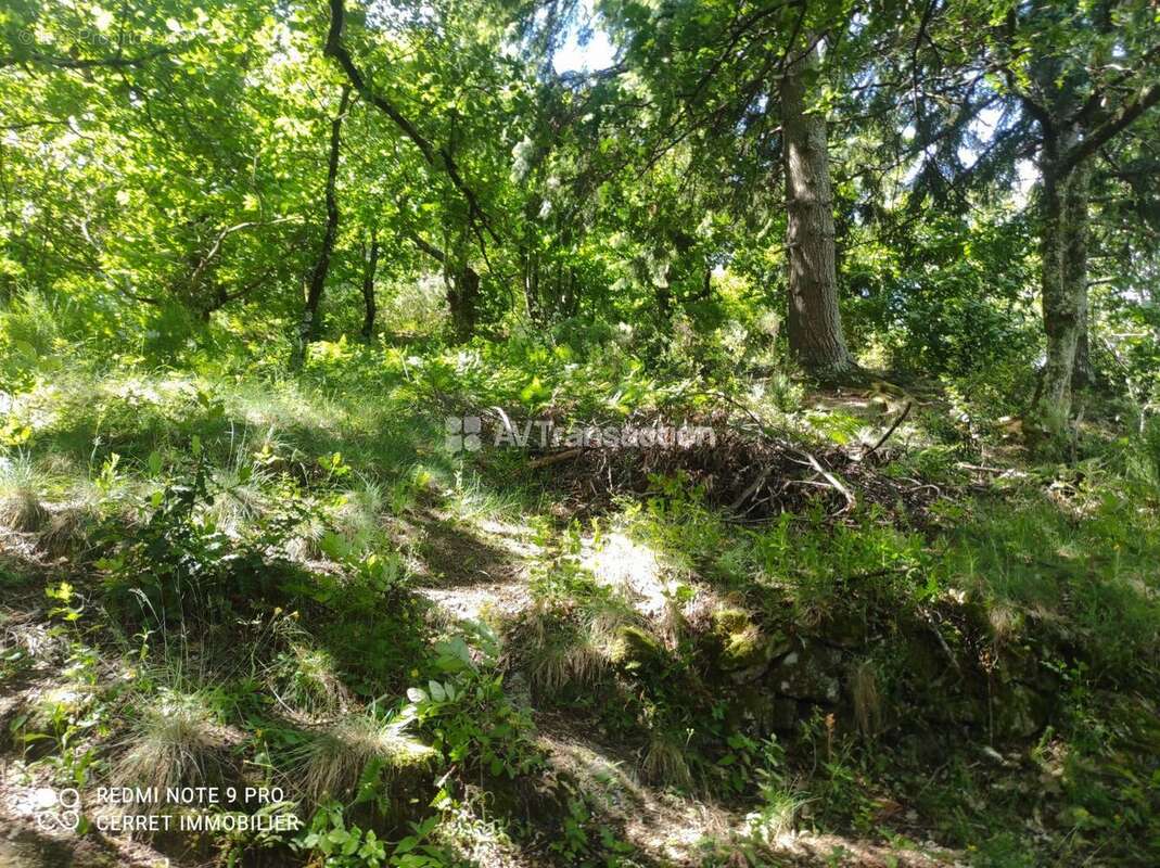 Terrain 5257 m² à Colognac  - photo 17