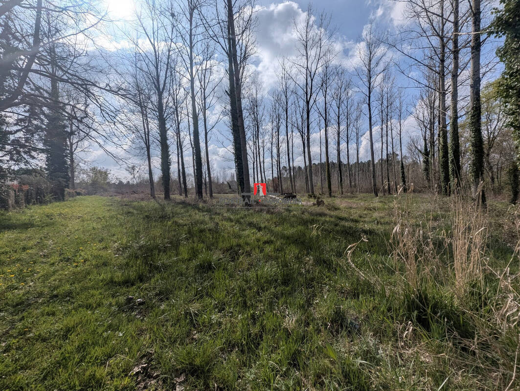 Terrain à ETAULIERS