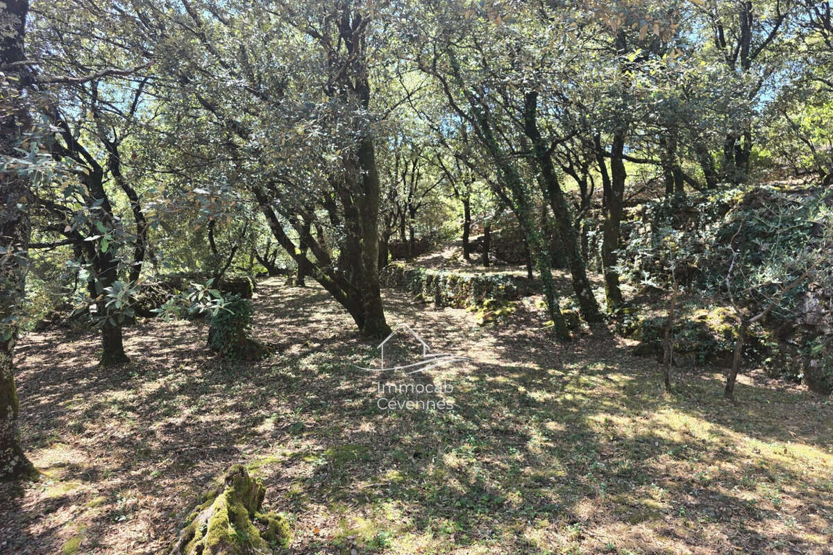 Maison à SAINT-JEAN-DU-GARD