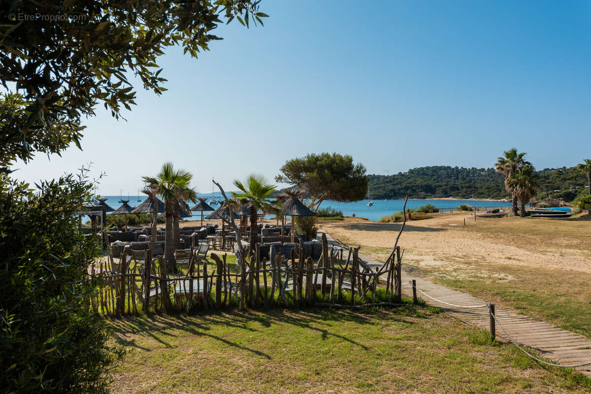 Terrain à BORMES-LES-MIMOSAS