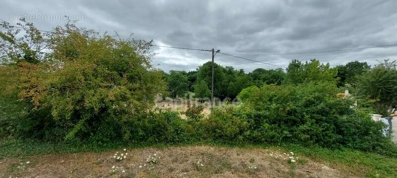 Terrain à SAINT-MICHEL-LE-CLOUCQ