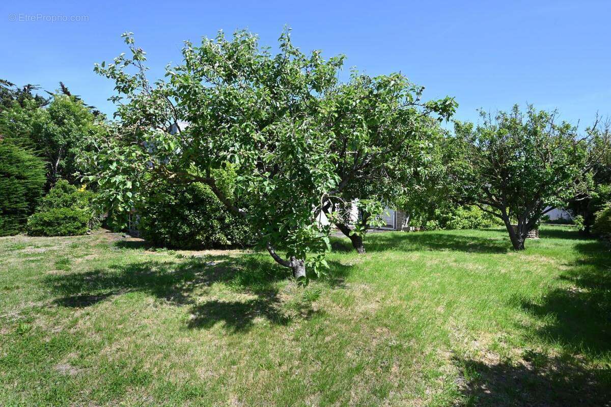 Maison à SAINT-CLEMENT-DES-BALEINES