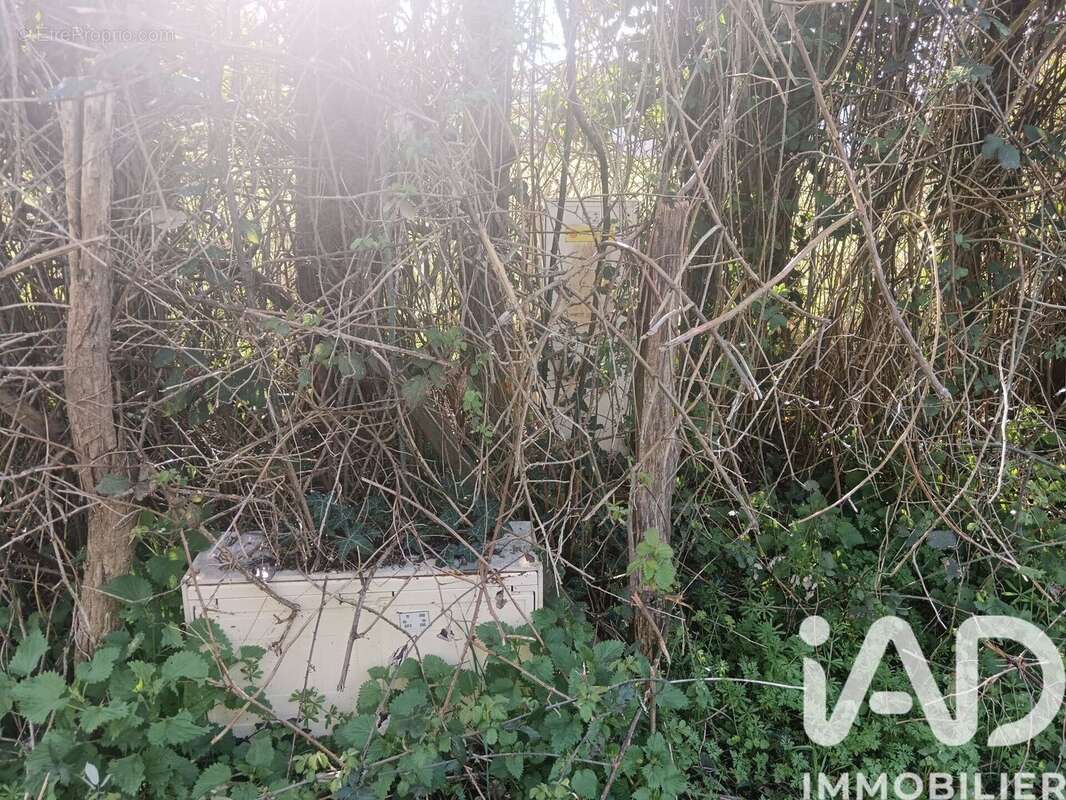 Photo 6 - Terrain à ARGENTON-CHATEAU