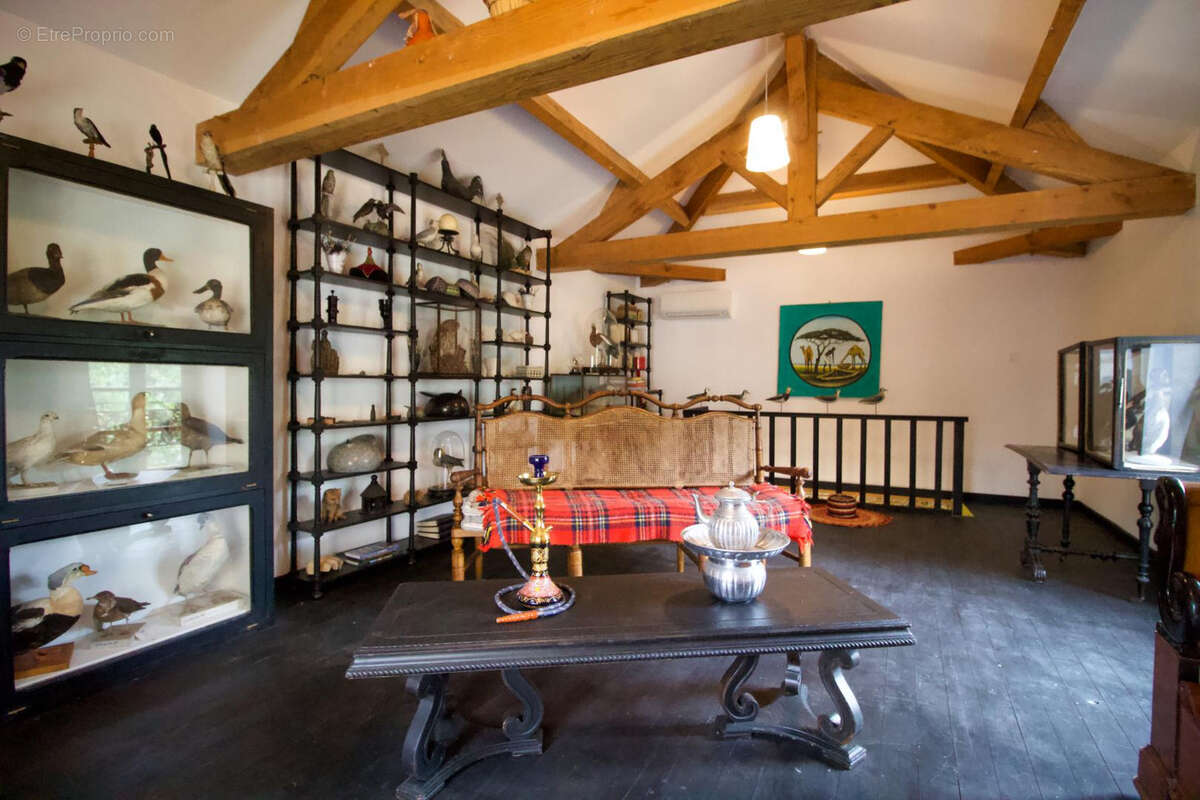 Propriété d’Exception à Marciac dans le Gers - photo 22