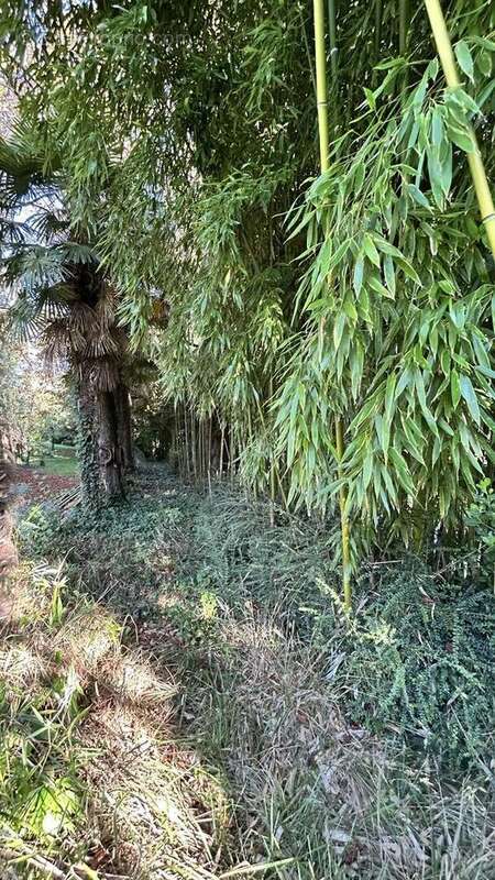 IMG2342 - Terrain à NIORT