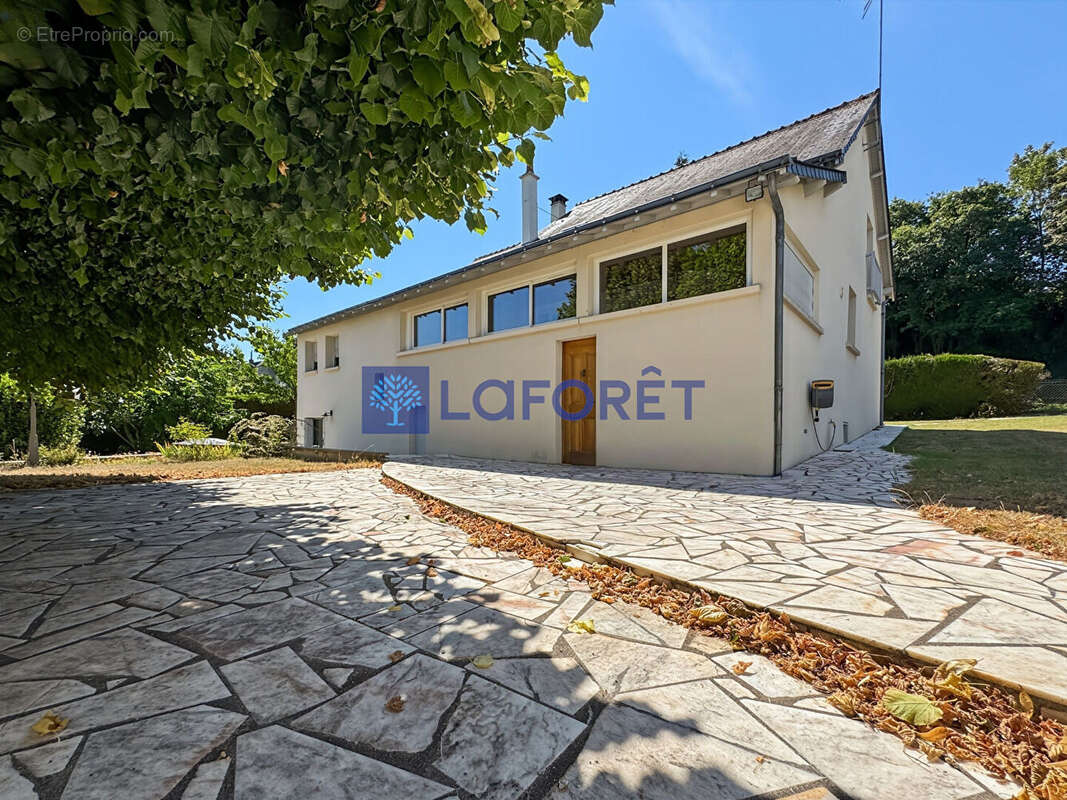 Maison Sache 8 pièce(s) 215 m2 - photo 3