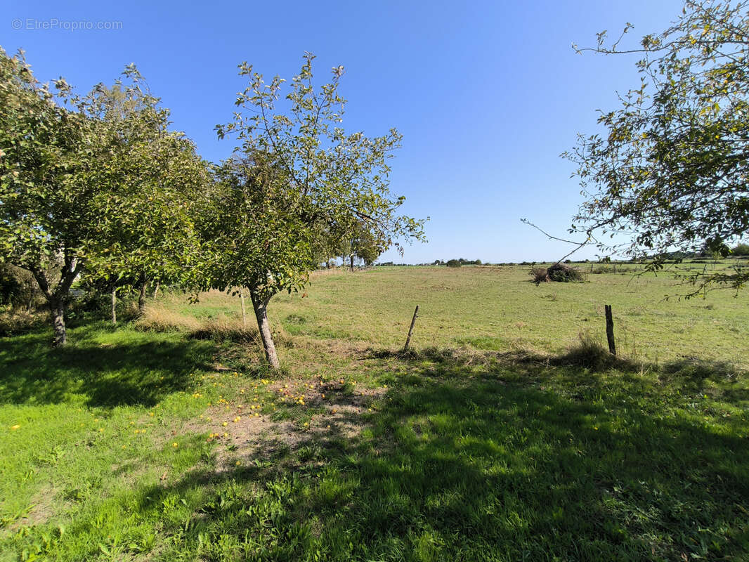 Maison à ARTANNES-SUR-INDRE
