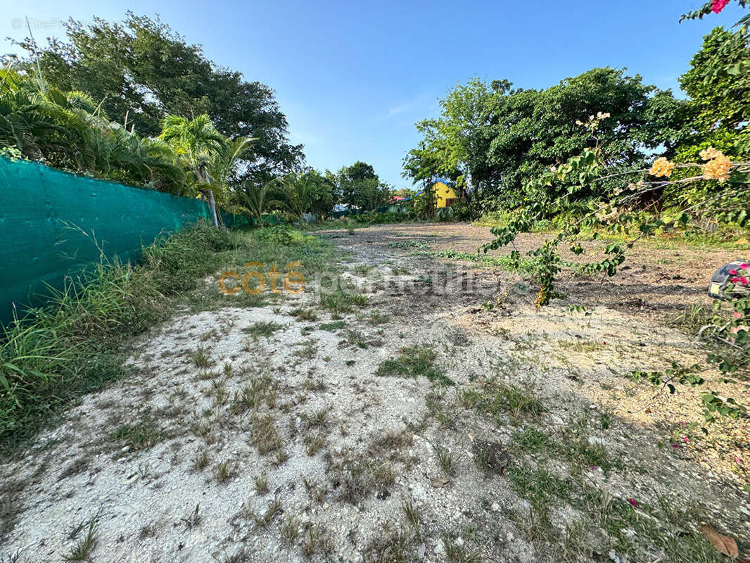 À VENDRE - Terrain plat et clôturé de 1 018 m² -Saint-François, secteur Bien Désiré - photo 4