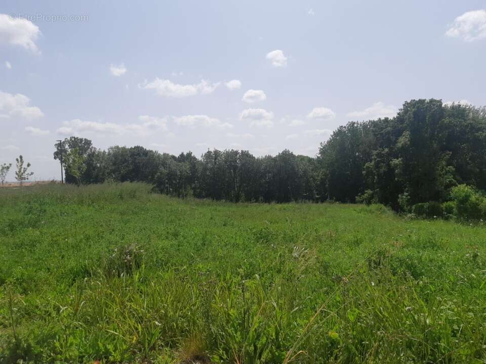 Terrain à CASTELNAU-D'ESTRETEFONDS