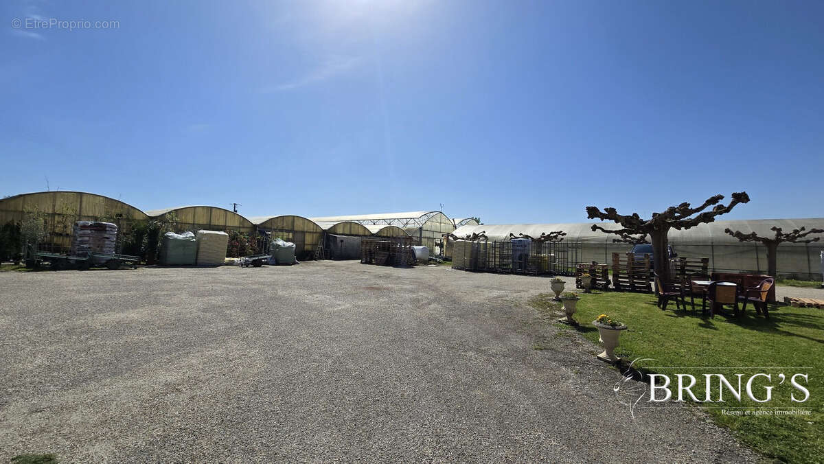 1.5 hectare de serre - Maison à DAUSSE