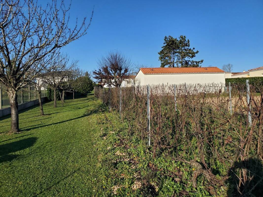 Terrain à BRIE