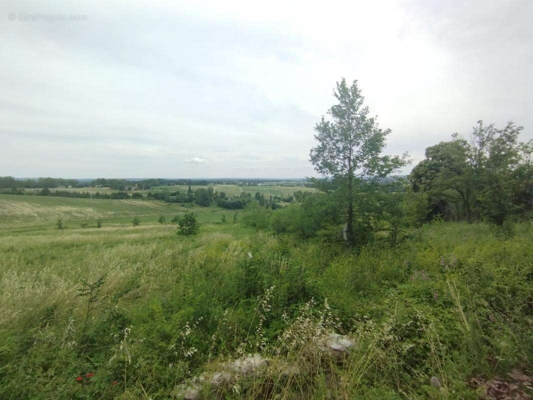 Terrain à PUYLAROQUE