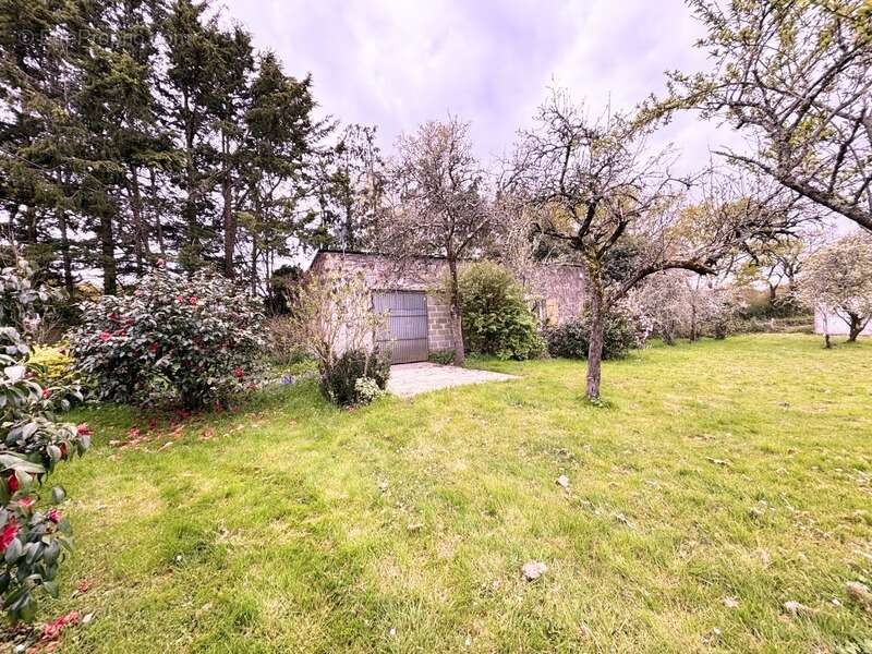 Maison 208m² - 6 Chambres - DEPENDANCES - TERRAIN 2100m² - photo 8