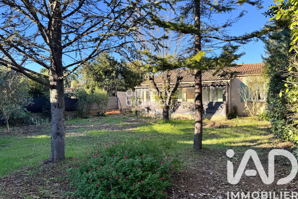 Photo 4 - Maison à SERIGNAN-DU-COMTAT