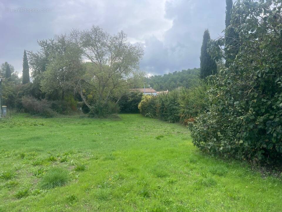 Terrain à SAINT-MARTIN-DE-CRAU