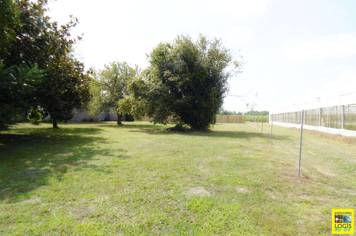 Maison à SAINT-ETIENNE-D'ORTHE