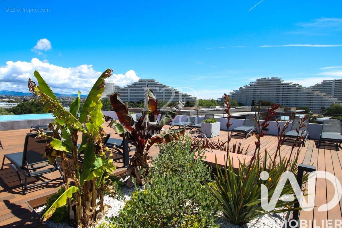 Photo 1 - Appartement à VILLENEUVE-LOUBET