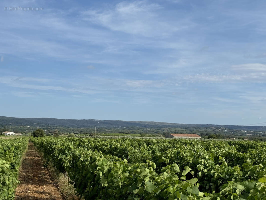 Terrain à SAINT-JEAN-DE-FOS