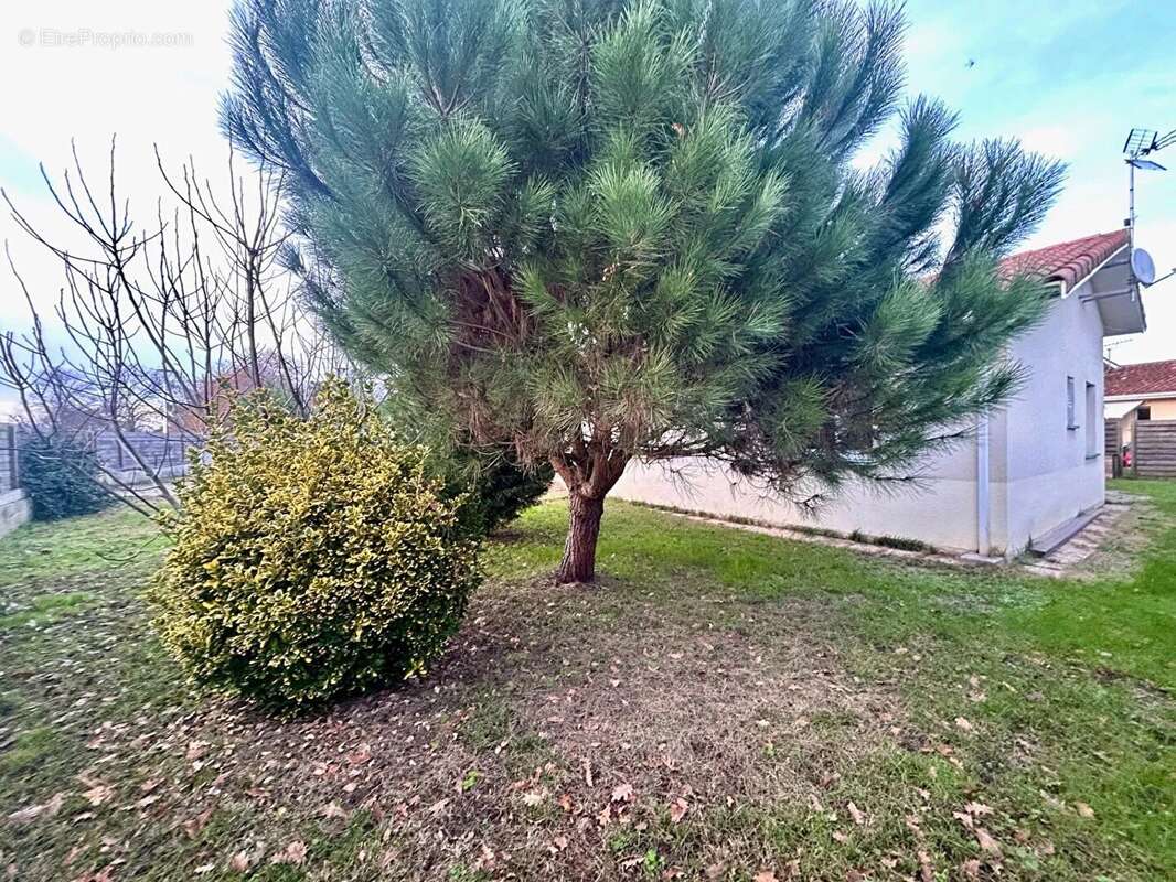 Maison à BISCARROSSE