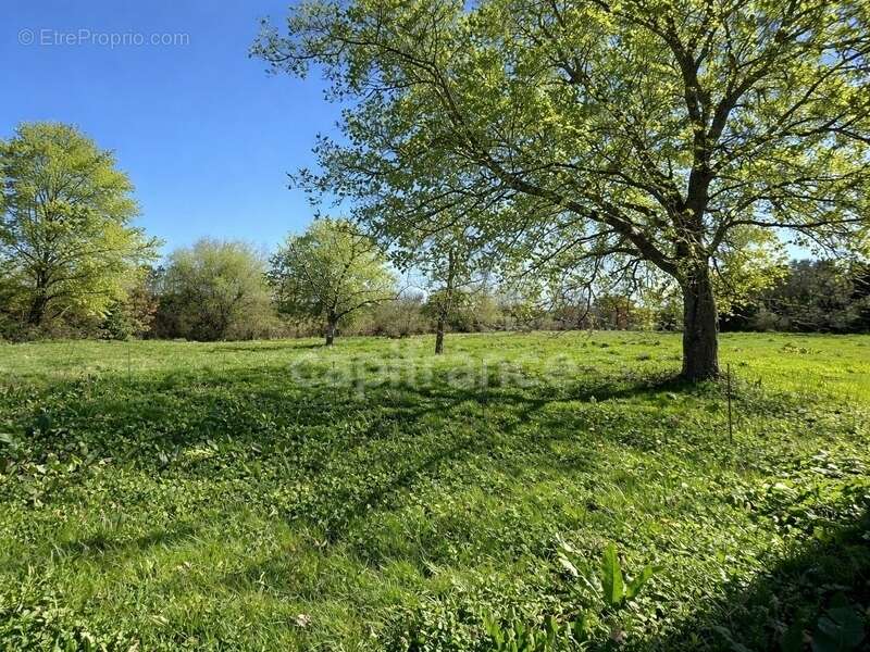 Maison à CHEVANCEAUX