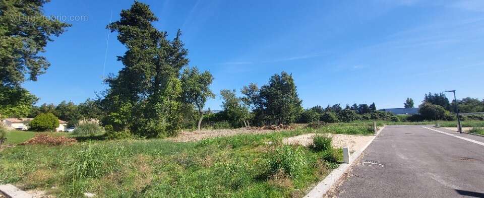Terrain 388 m² à Senas  - photo 2