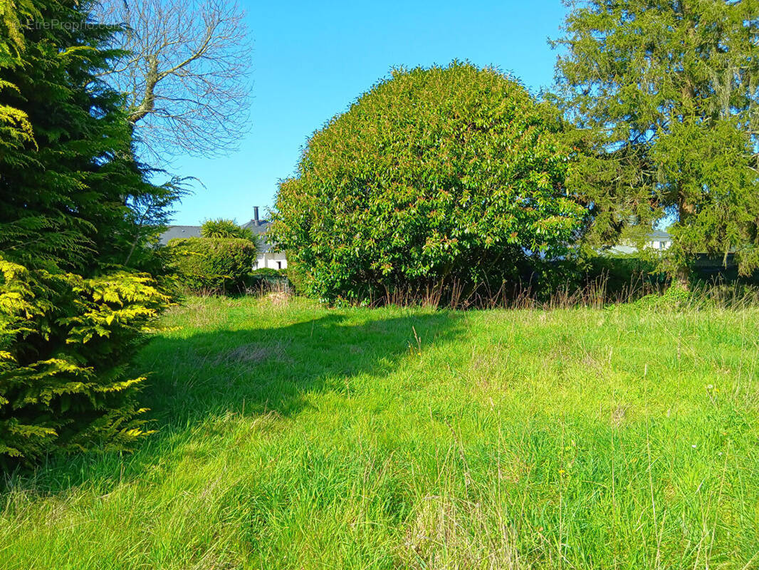 Terrain à NOSTANG