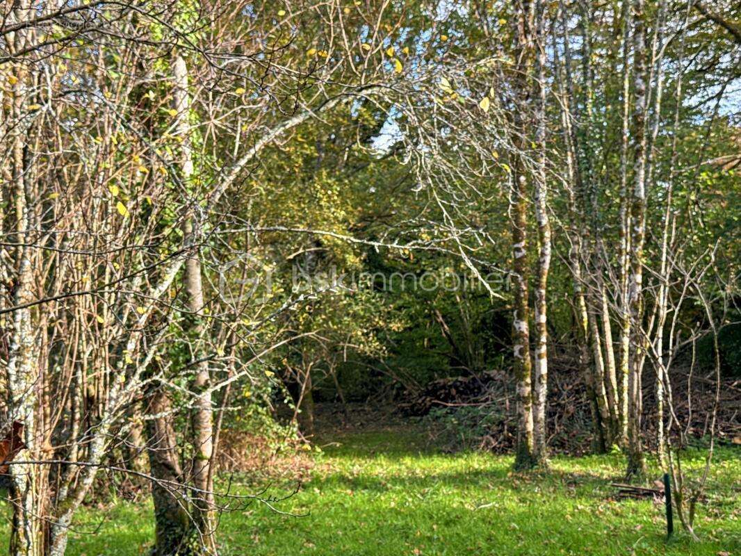 Terrain à PONT-DE-BUIS-LES-QUIMERCH