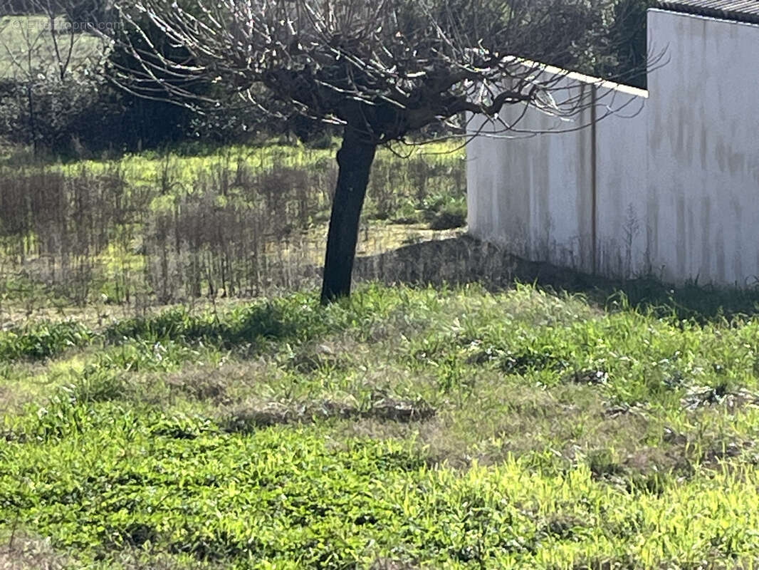 Terrain à MONTAREN-ET-SAINT-MEDIERS