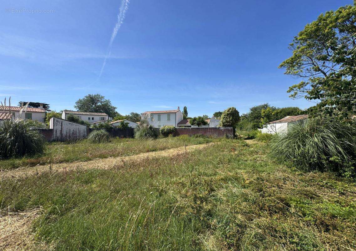 Terrain à LES PORTES-EN-RE