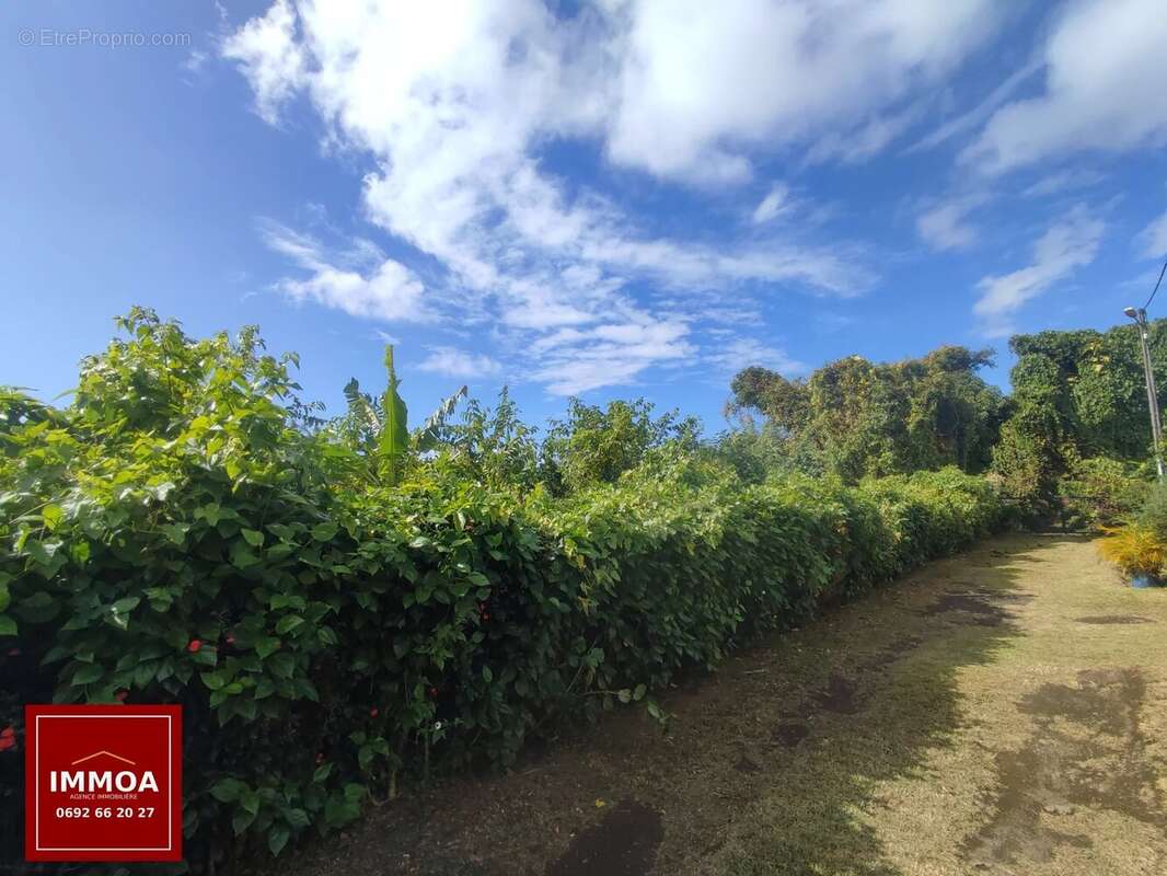 À VENDRE – Terrain constructible de 400 m² – Sainte-Anne, Chemin du Cap ( 97437) - photo 3