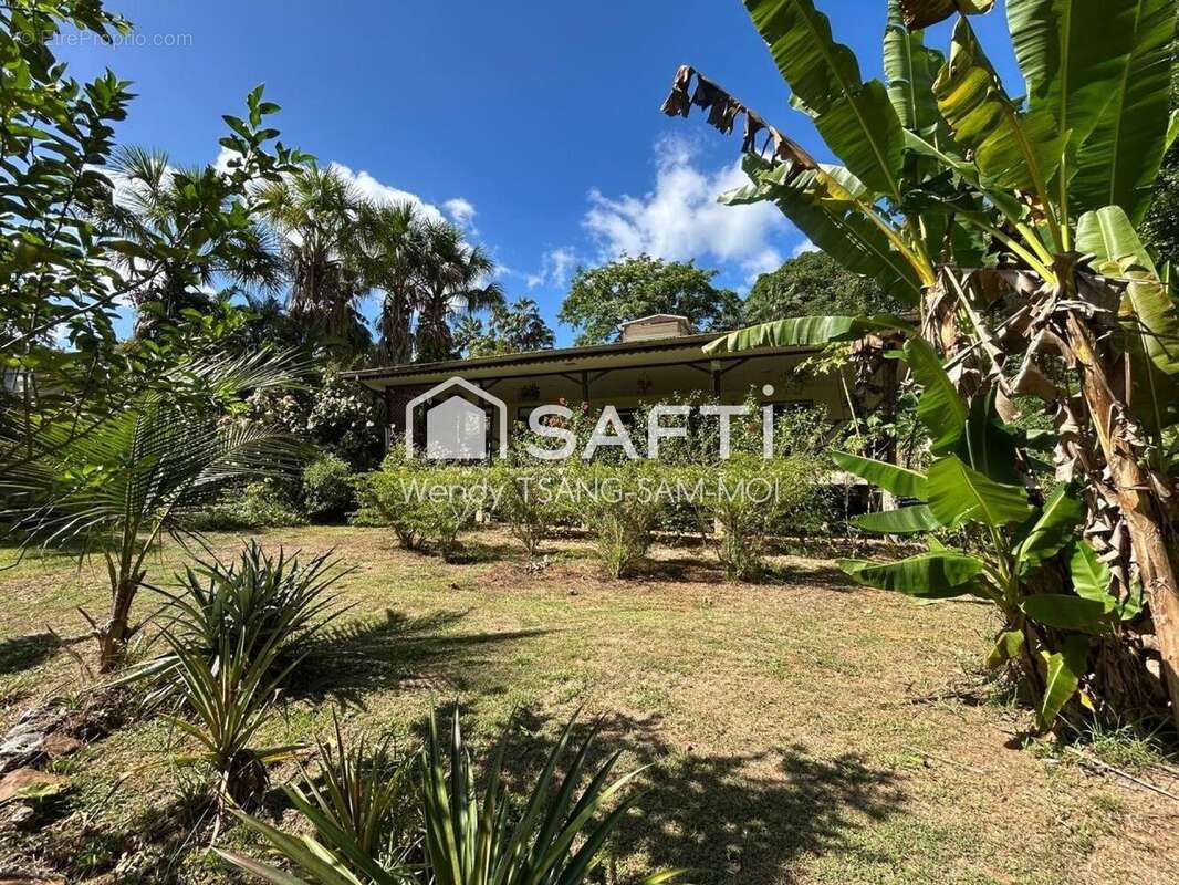 Photo 3 - Maison à MATOURY